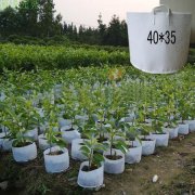 無紡布育苗袋是怎么煉成的