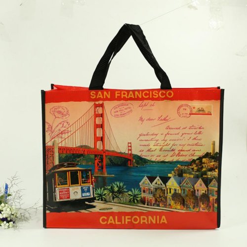 100g 無紡布PP編織促銷購物袋