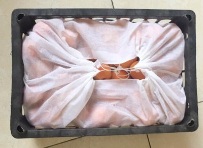 水果筐內(nèi)用的無紡布袋